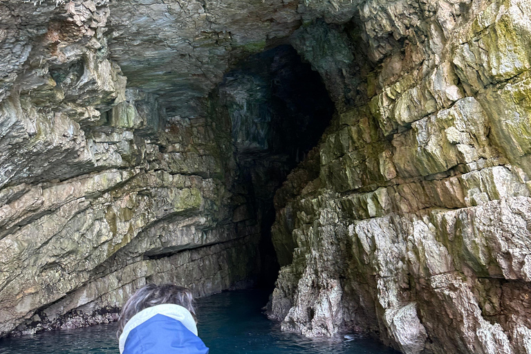 Kotor: Passeio de lancha rápida à Gruta Azul e à Nossa Senhora das RochasKotor: Passeio de lancha para a Caverna Azul e Nossa Senhora das Rochas