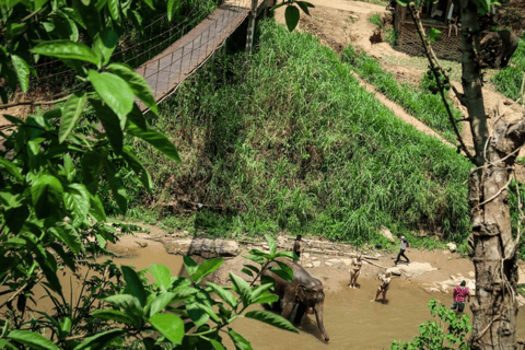 Rafting en bambou avec transferts depuis et vers l&#039;hôtel