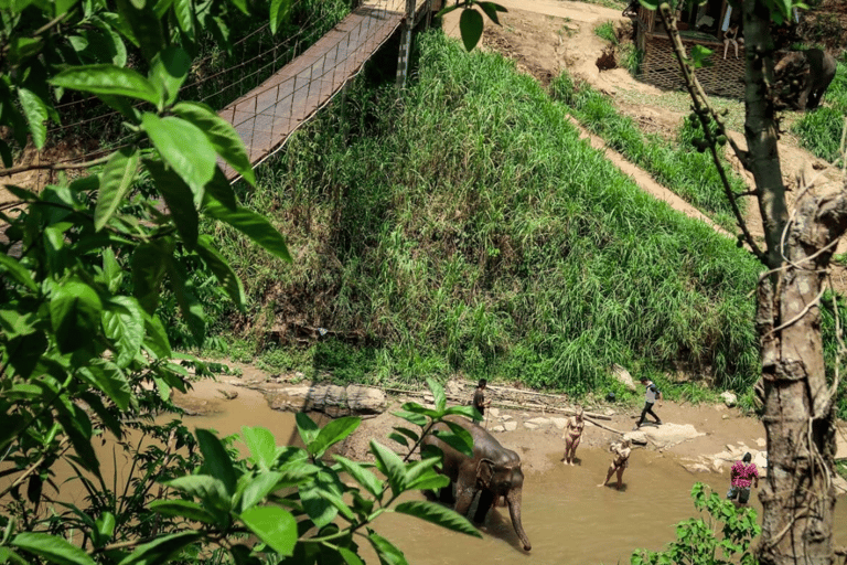 Rafting en bambú con traslados al hotel