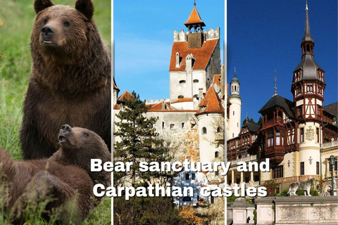 From Bucharest: Bear Sanctuary & Carpathian Castles Day Trip