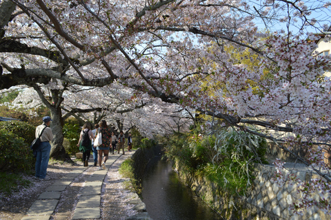 Sacred Pathways: Discover the Philosopher's Path of Kyoto
