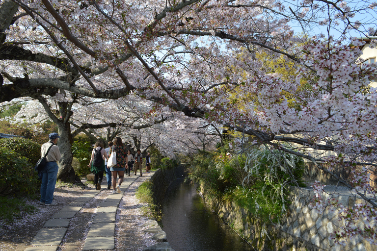 Sacred Pathways: Discover the Philosopher's Path of Kyoto
