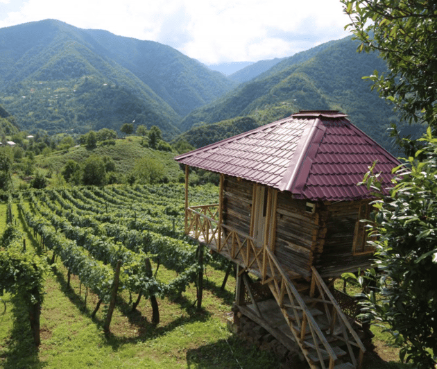 From Batumi Wine & Dine tour to Makhuntseti Waterfall