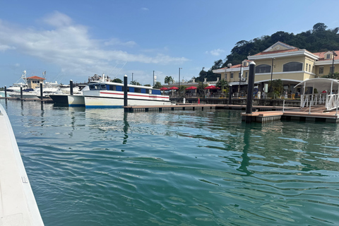 Private Tour of Panama City: Biomuseo, MAC & Casco Antiguo