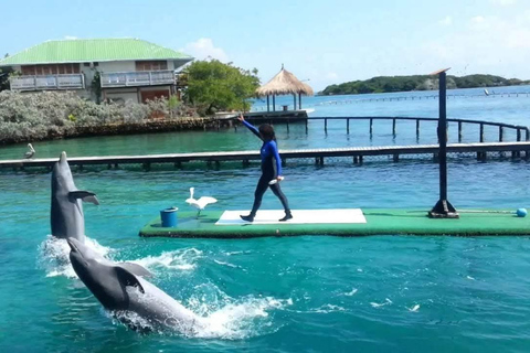 Cartagena: destino a 4 ilhas de barco + ingressos para o Oceanário