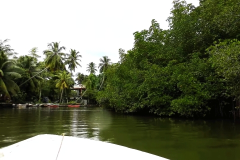 Bentota: moerasboottocht door mangrovebosBentota: Motorboottocht door mangrovebos