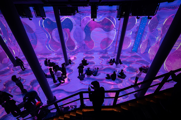 NYC: ARTECHOUSE Immersive Art Experience Entrance Ticket