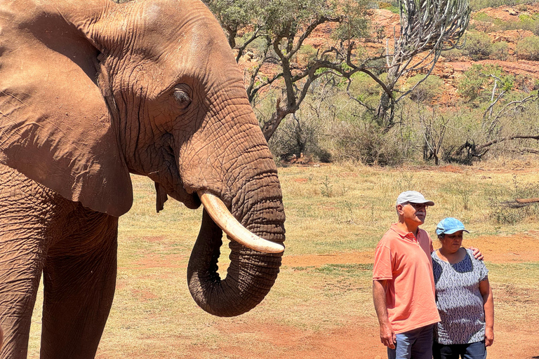 Elephant Sanctuary Tour from Johannesburg