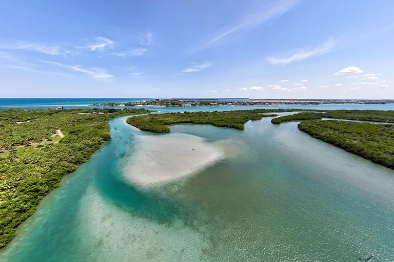 Fort Pierce: Clear Kayak Tour with Wildlife Sightings