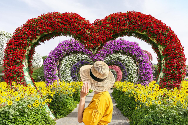 Dubai: biglietto d'ingresso al Miracle Garden con trasferimento in hotel