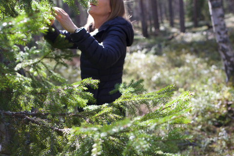 Forest Bathing in Stockholm nature with certified guide Forest bathing with tea-ceremony in mossy nature reserve