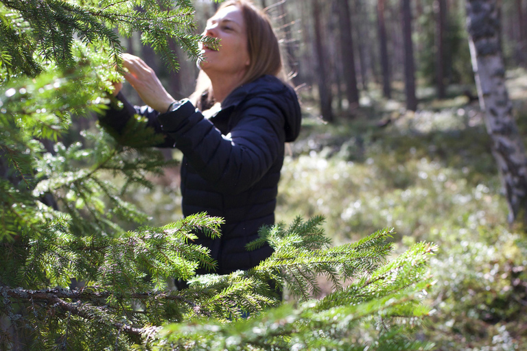 Bagno nella foresta nella natura di Stoccolma con guida certificataBagno nella foresta con cerimonia del tè nella riserva naturale di muschio