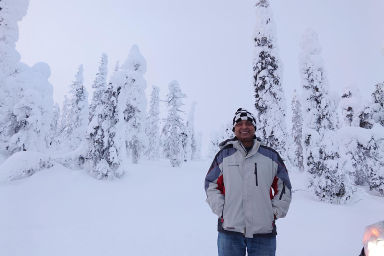 Visite d&#039;une jounée du cercle arctique