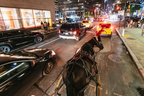 Rit met paard en wagen in Central Park, Rockefeller en Times Square