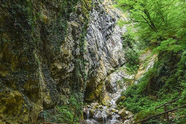 Lahij Village & Gabala Nature Tour from Baku with Tufandag