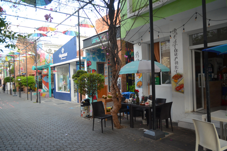 Puerto Plata: passeio cultural com degustação de rum e charutosPuerto Plata: tour cultural com degustação de rum e charutos