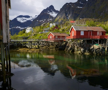 Special Summer Cruise Guided Tour of Lofoten