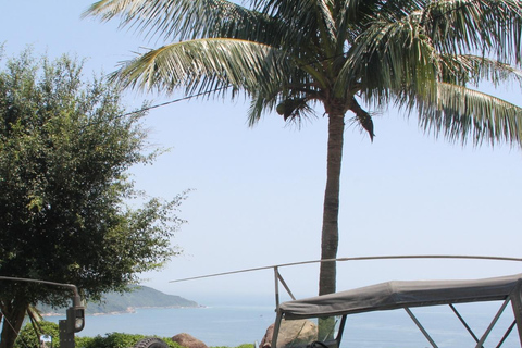 Ontdek Son Tra: legendarische jeeptour in het spoor van het Amerikaanse legerOntdek Son Tra: een avontuurlijke tour in een legendarische jeep van het Amerikaanse leger