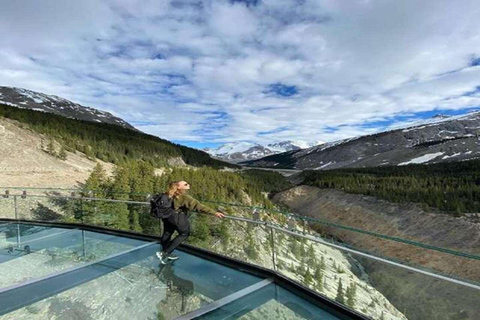 Columbia Icefield, Skywalk, Crowfoot Glacier, Stunning Lakes