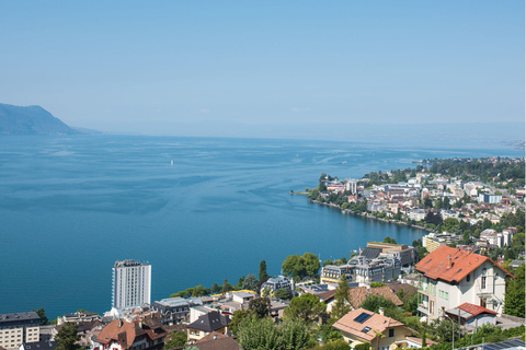 Lucerne : visite privée en voiture - Gruyères, Vevey, Montreux et Fribourg