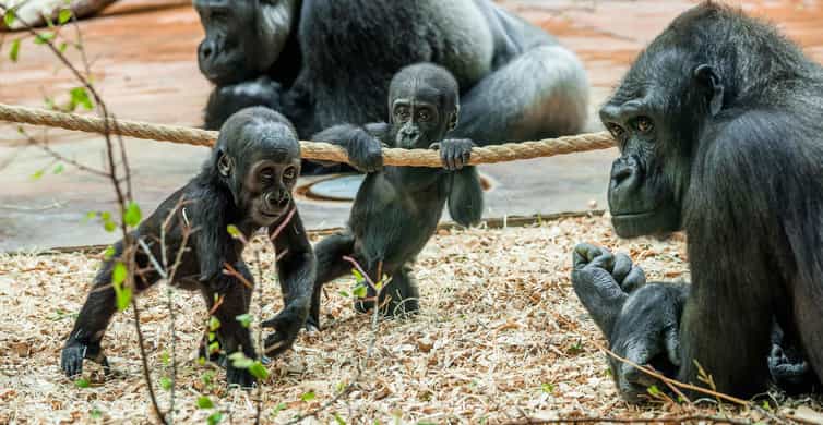 Zoo-Ticket für einen Tag