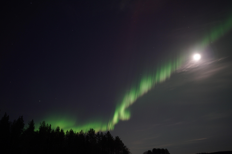 Rovaniemi Northern Lights – The Real Guaranteed Hunt