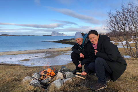 Tromsø: Excursión por los Fiordos y las Playas con hoguera y fotosTromsø: Excursión a los Fiordos y Playas con hoguera y fotos