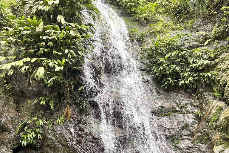 Minca: Coffee Farm and Hidden Waterfall Tour with Lunch