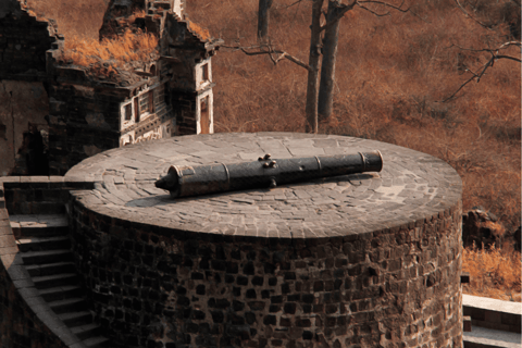 Full Day Trip Ellora Caves & Daulatabad Fort from Aurangabad