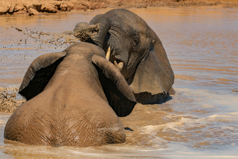 4-Days Masai Mara Safari From Nairobi With Park Fees