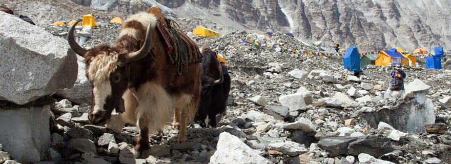 Katmandou : trek vers le camp de base de l'Everest pour débutants