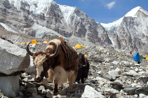 Exclusive EBC Experience — Calm, Local-Centric, Small Group