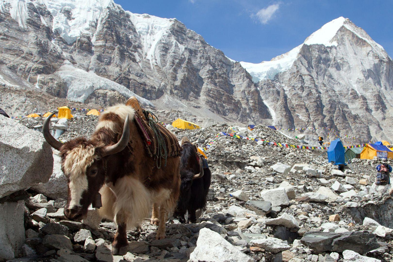 Exclusive EBC Experience — Calm, Local-Centric, Small Group