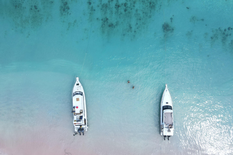 4 days komodo trip ( start from Bali )