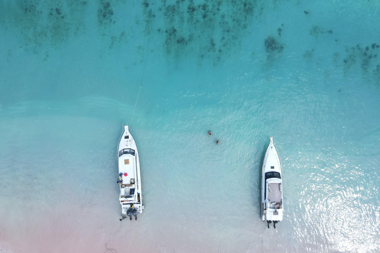 4 days komodo trip ( start from Bali )