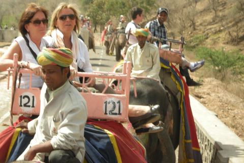Jaipur: Amber Fort, Stadtpalast und Hawa Mahal Tagestour