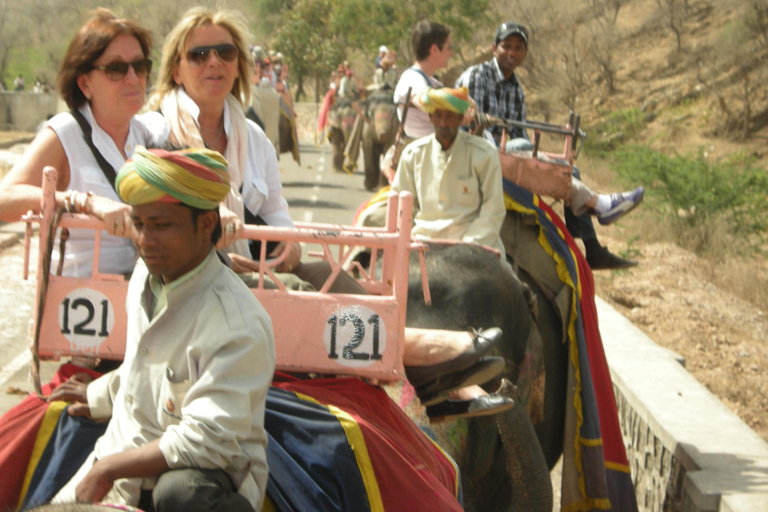 Jaipur: Amber Fort, Stadtpalast und Hawa Mahal Tagestour