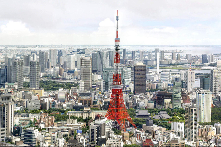 Tokyo: Private City Highlights Tour with Guide