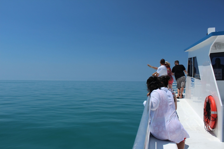 Navette de Miami à Key West : Dauphin, plongée en apnée et plus encoreNavette Key West avec bateau à fond de verre