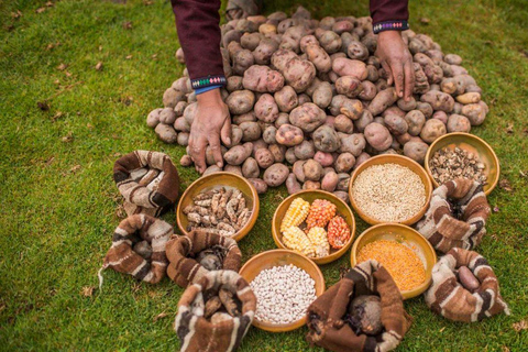 Cusco: Półdniowa wizyta w Parku Ziemniaka