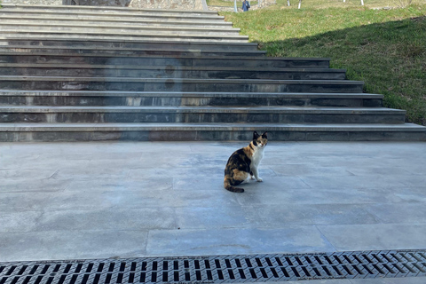 Yerevan: 3-Day Private Tour to Meghri & Tatev Monastery