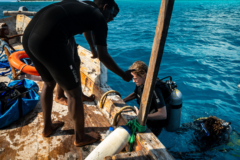 Zanzibar : 2 jours de plongée sous-marine quatre plongéesavec transfert à l&#039;hôtel