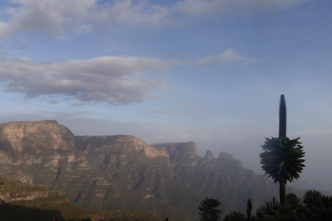 Etiopia Najlepsze 16-dniowe wycieczki, trekking w góry, wulkan, plemiona16 dni góry Simien, depresja Danakil, plemię Omo Vallely
