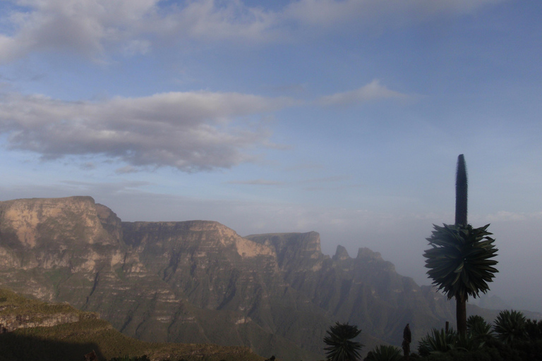 Etiopia Najlepsze 16-dniowe wycieczki, trekking w góry, wulkan, plemiona16 dni góry Simien, depresja Danakil, plemię Omo Vallely