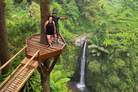 Da Yogyakarta: Terrazze di riso di Selogriyo e cascate nascosteDa Yogyakarta: Terrazze di riso di Selogriyo e cascata nascosta