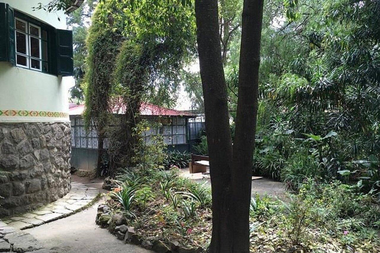 Addis Ababa: Ethiopian Coffee Tour with Breakfast & Ceremony