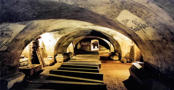 Vienna: 1.5-Hour Underground Walking Tour with Mummies