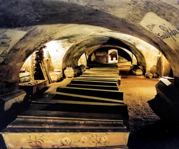 Vienna: 1.5-Hour Underground Walking Tour