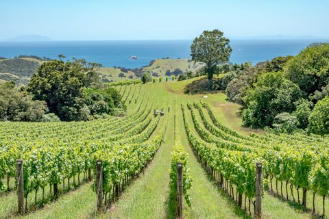 The Epic Waiheke Sundowner, Food And Wine Trip
