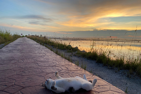 Penang: Balik Pulau Kulturerlebnis &amp; DorftourPenang: Kulturelle Erlebnisse in Balik Pulau &amp; Dorftour